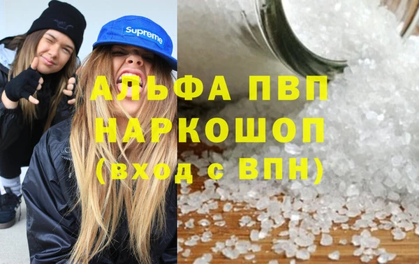 PSILOCYBIN Ростов